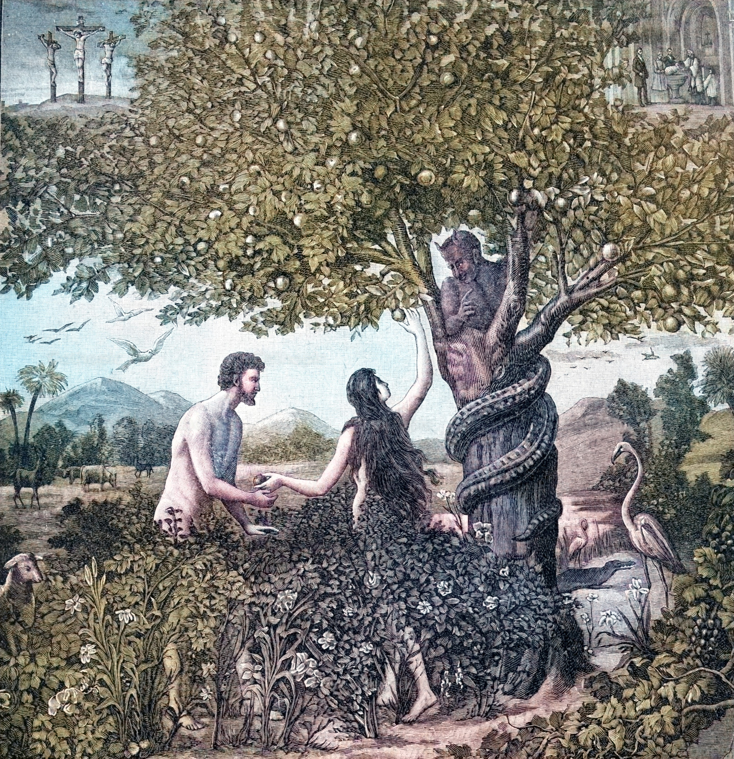 Adam and Eve tempted by the snake | Cathopic