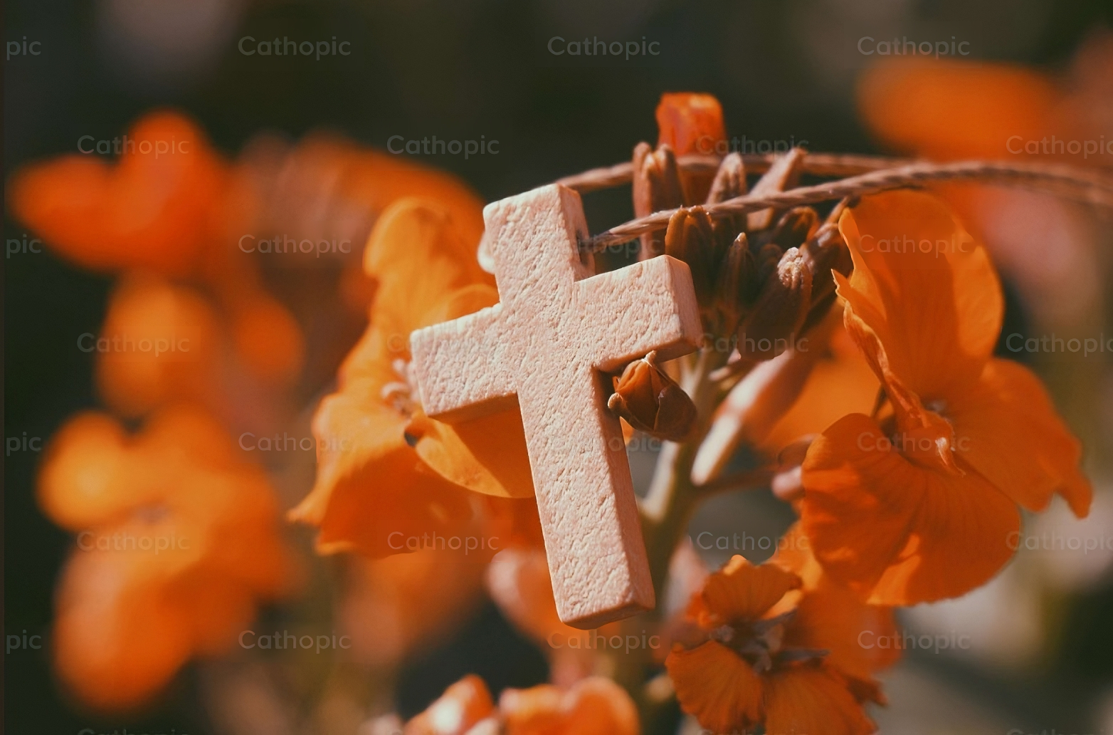 Wooden Cross lying in a leaf - Nature photography