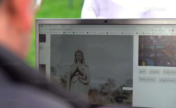 Searching the web / Searching online