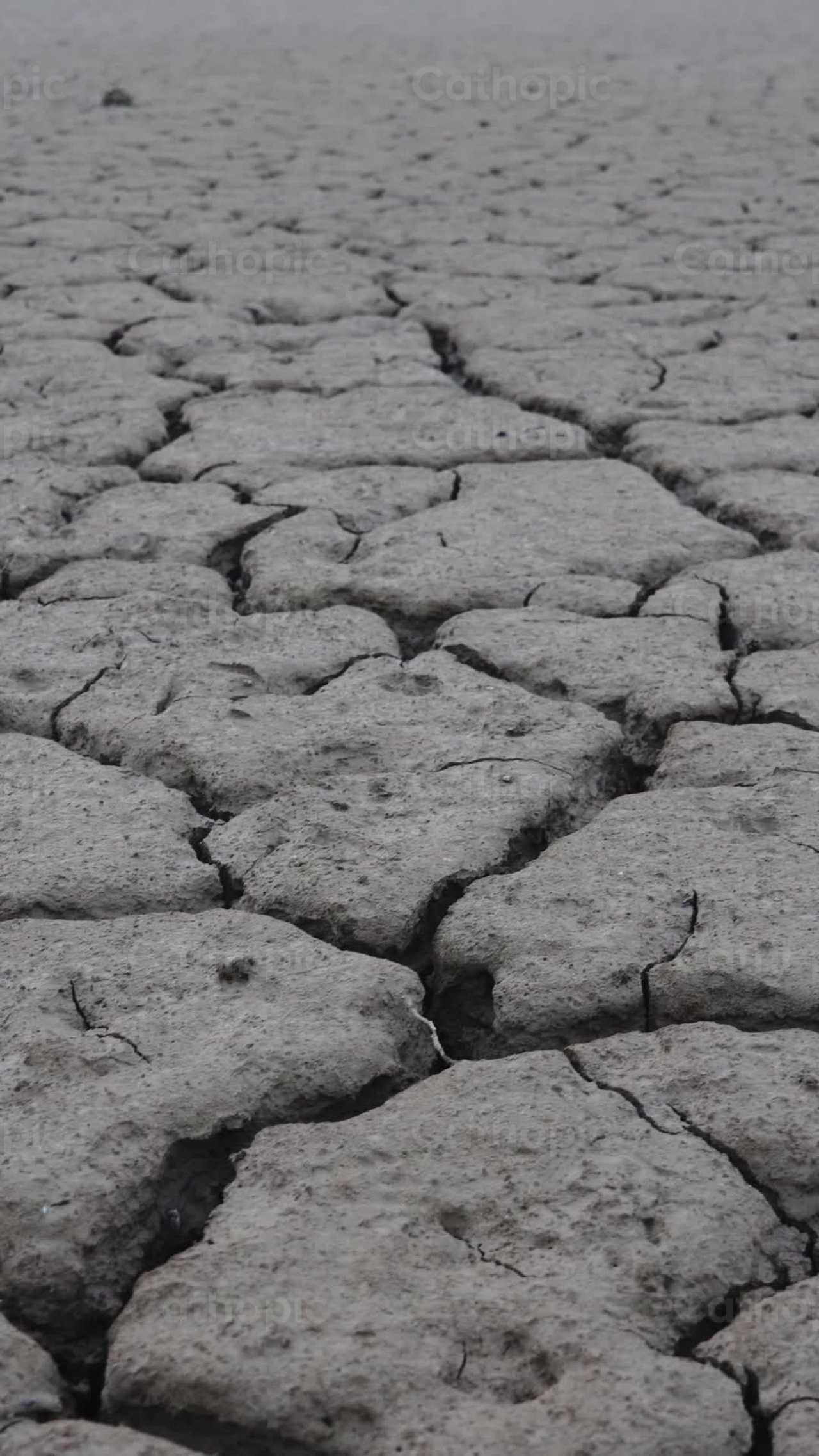 Desierto - Banco de vídeos católicos - Fotografía por Lupe Belmonte