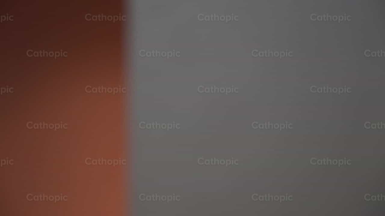 Padre Pío de Pietrelcina - Banco de vídeos católicos - Fotografía por Cathopic