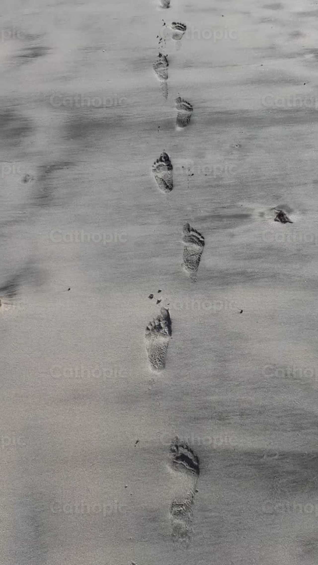 Huellas y camino - Banco de vídeos católicos - Fotografía por Saul Ibarra