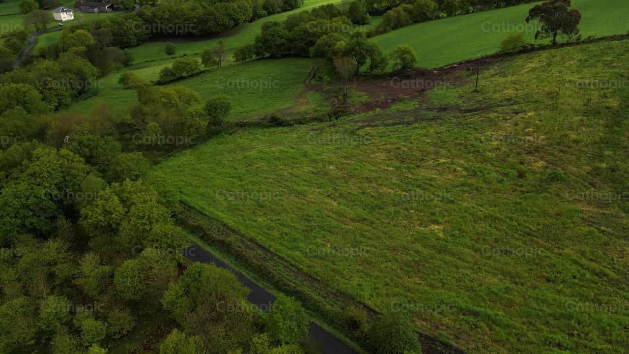 Vista superior de un bosque - Banco de vídeos católicos - Fotografía por Santiago de la Hoz