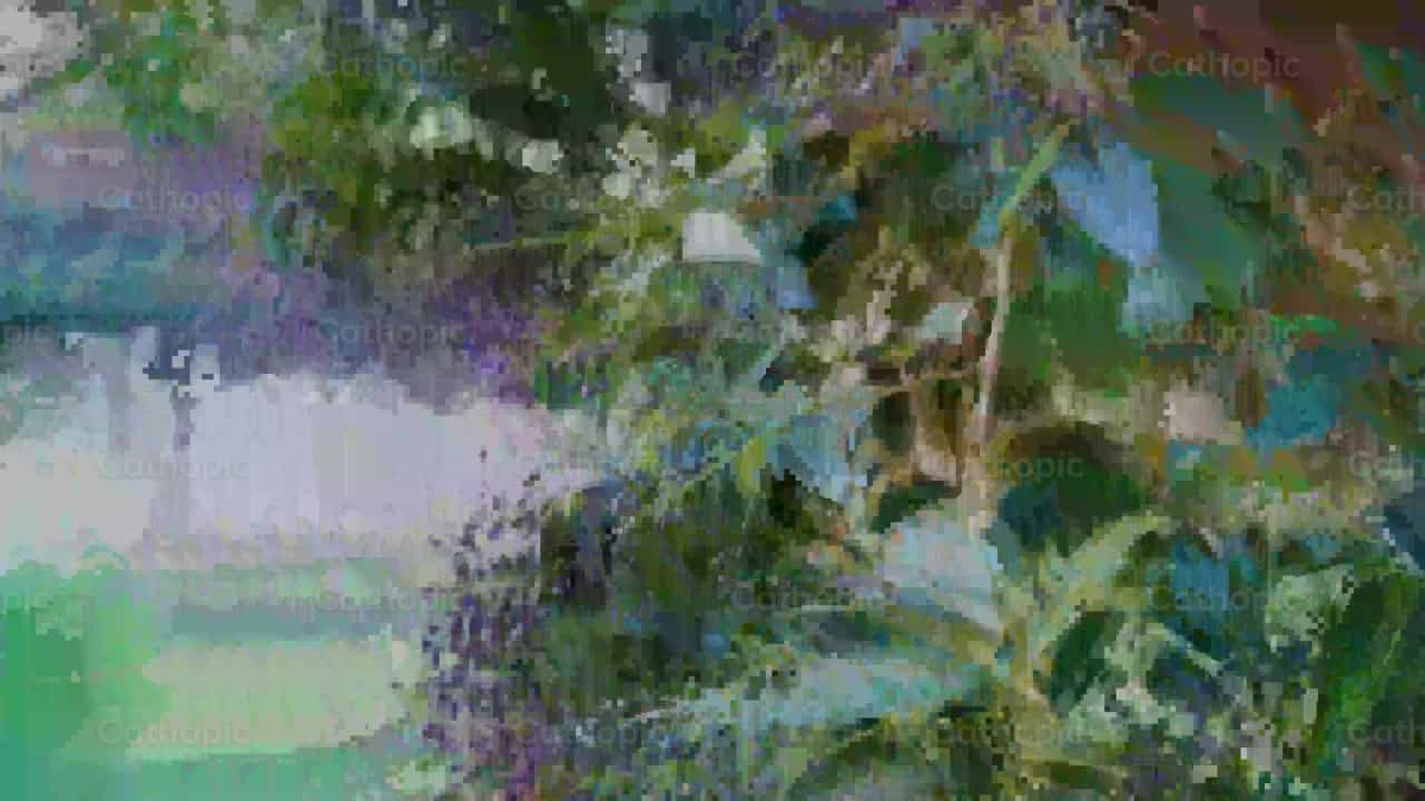 Ramas de árbol delgadas - Banco de vídeos católicos - Fotografía por Cathopic