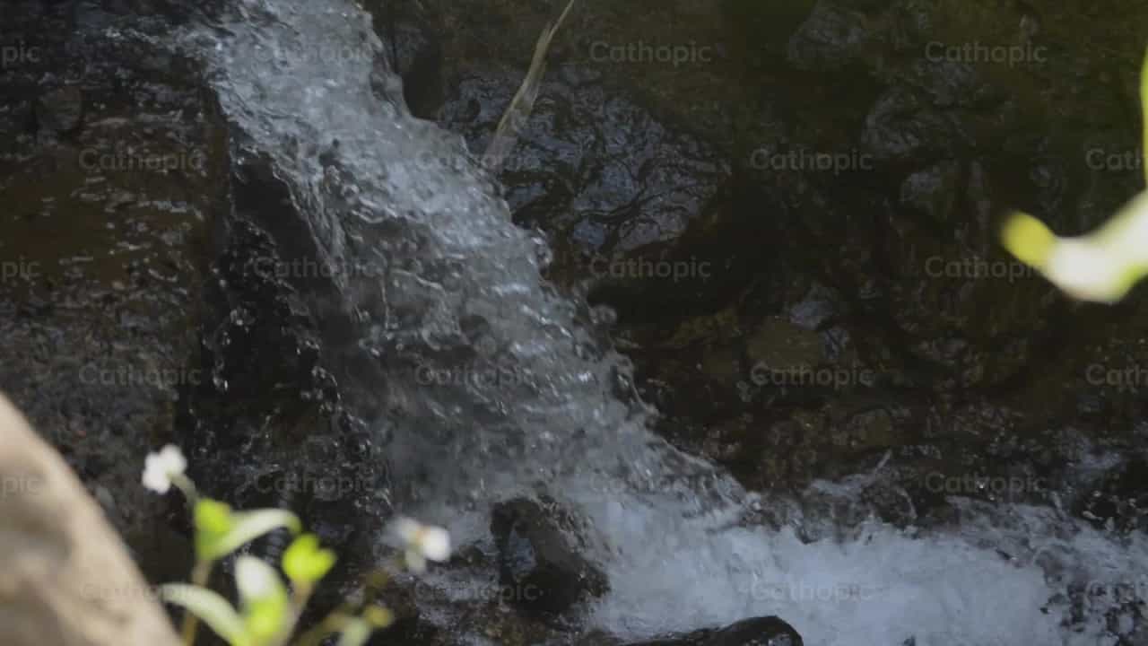 Waterfall - Catholic stock videos - Photo by Carolina BR