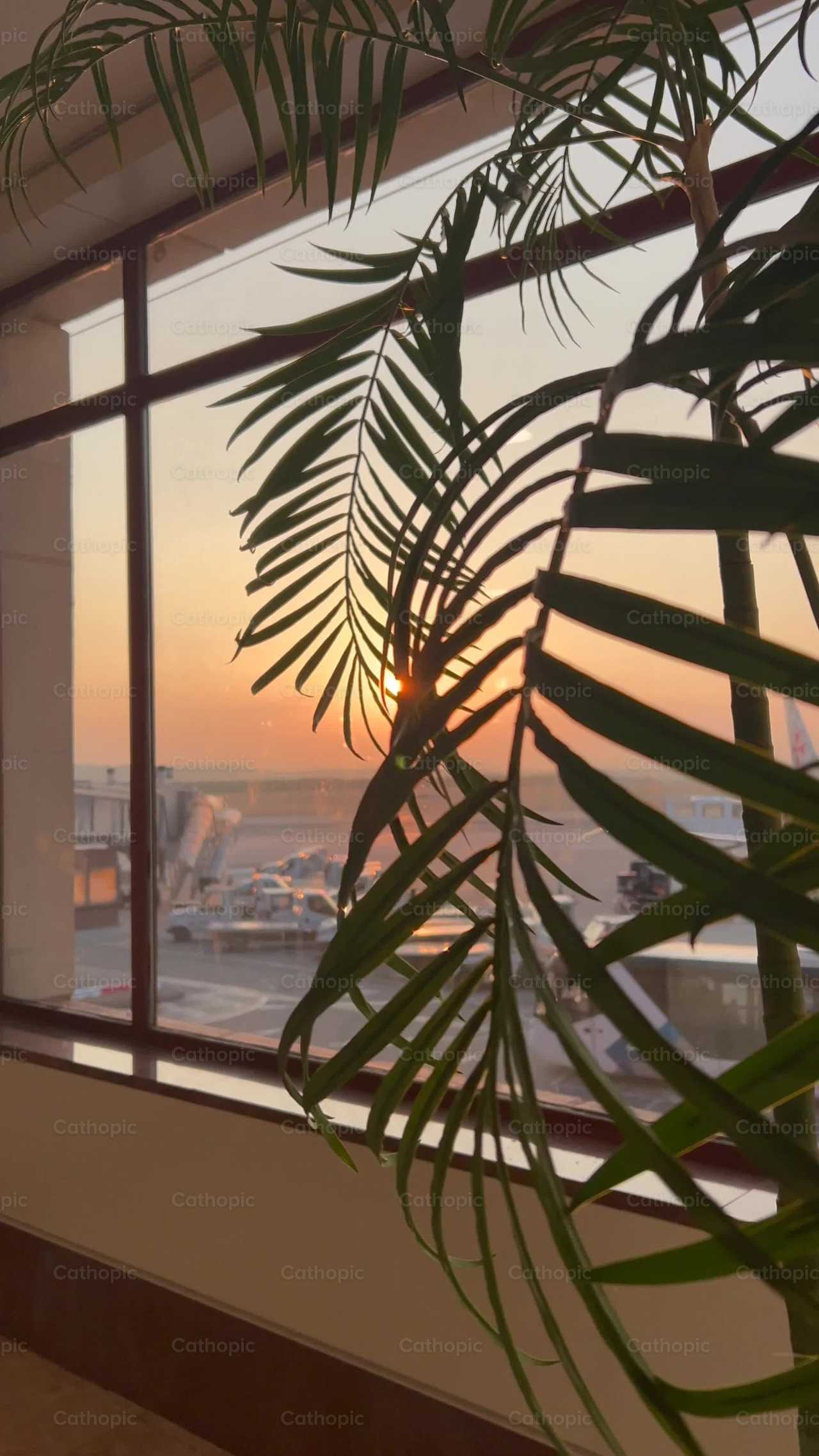Sunset - Catholic stock videos - Photo by Frames Cristianos