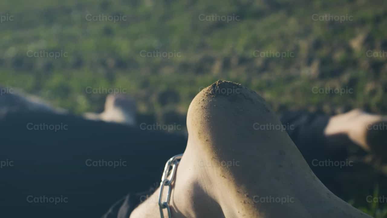 Pies encadenados por causa de los vicios - Banco de vídeos católicos - Fotografía por Almures Studio