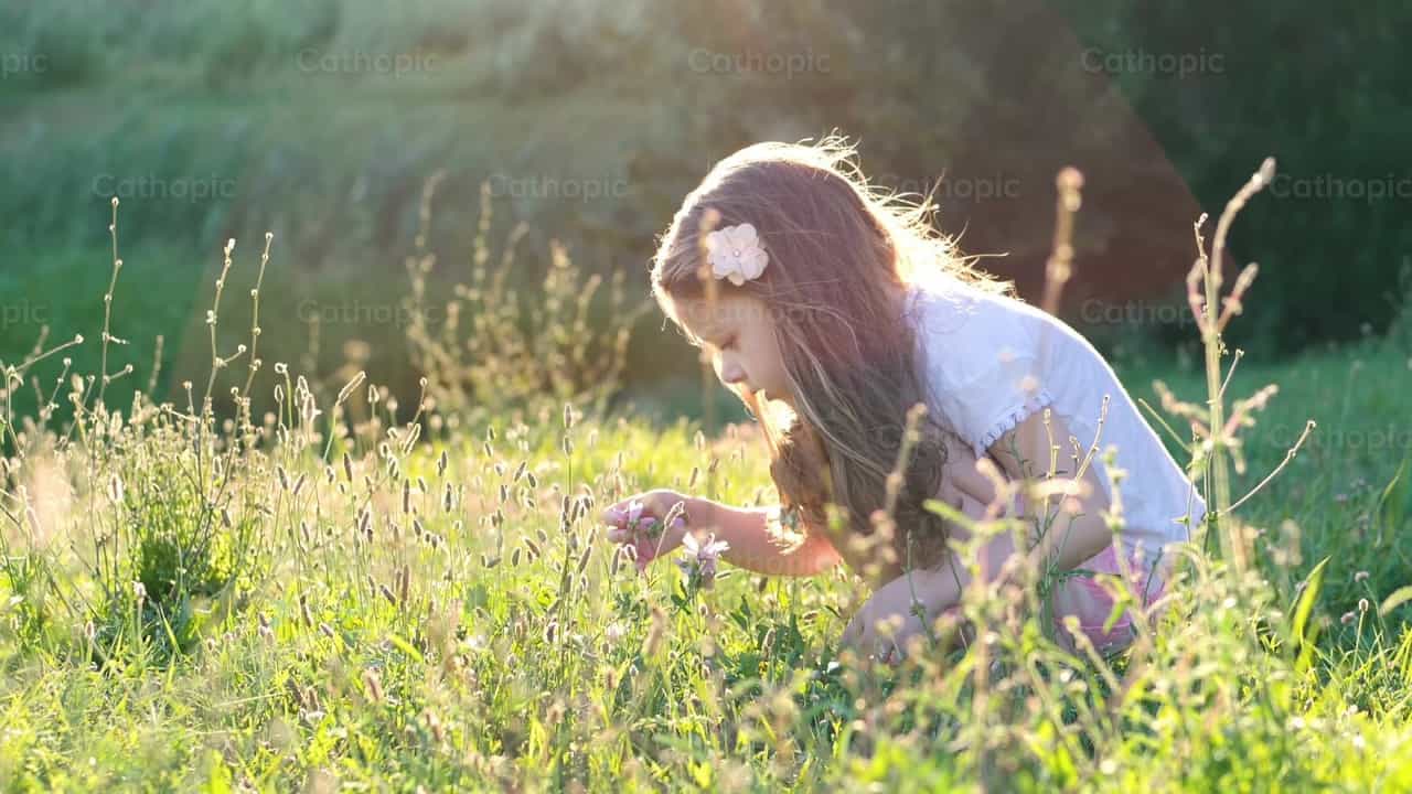 Hároméves kislány egy mezőn virágot szed - Katolikus stock videók