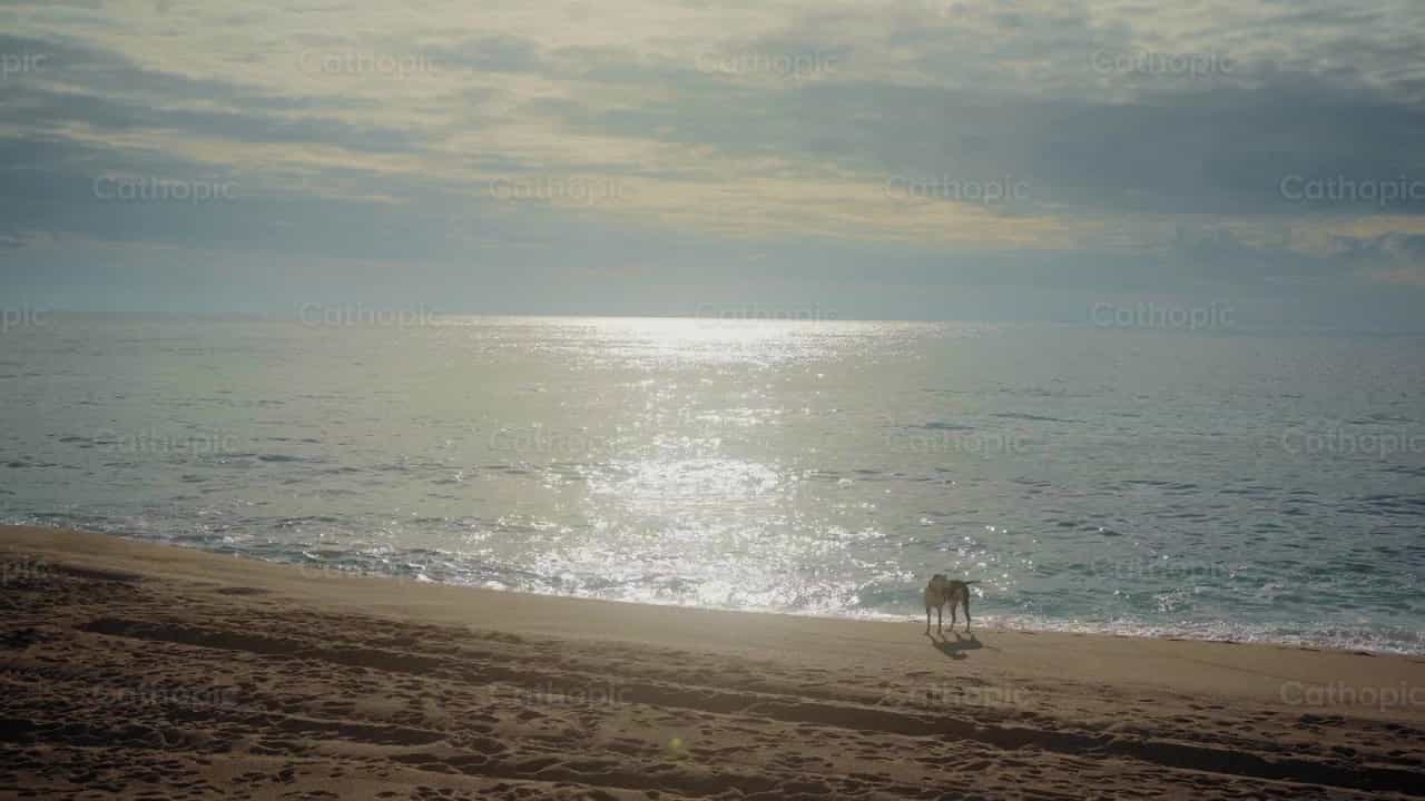 Playa desierta - Banco de vídeos católicos