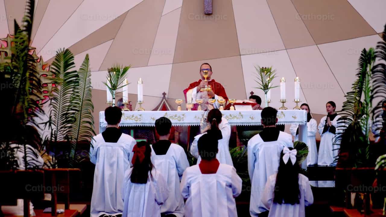 Consagración de la Sangre de Cristo - Banco de vídeos católicos