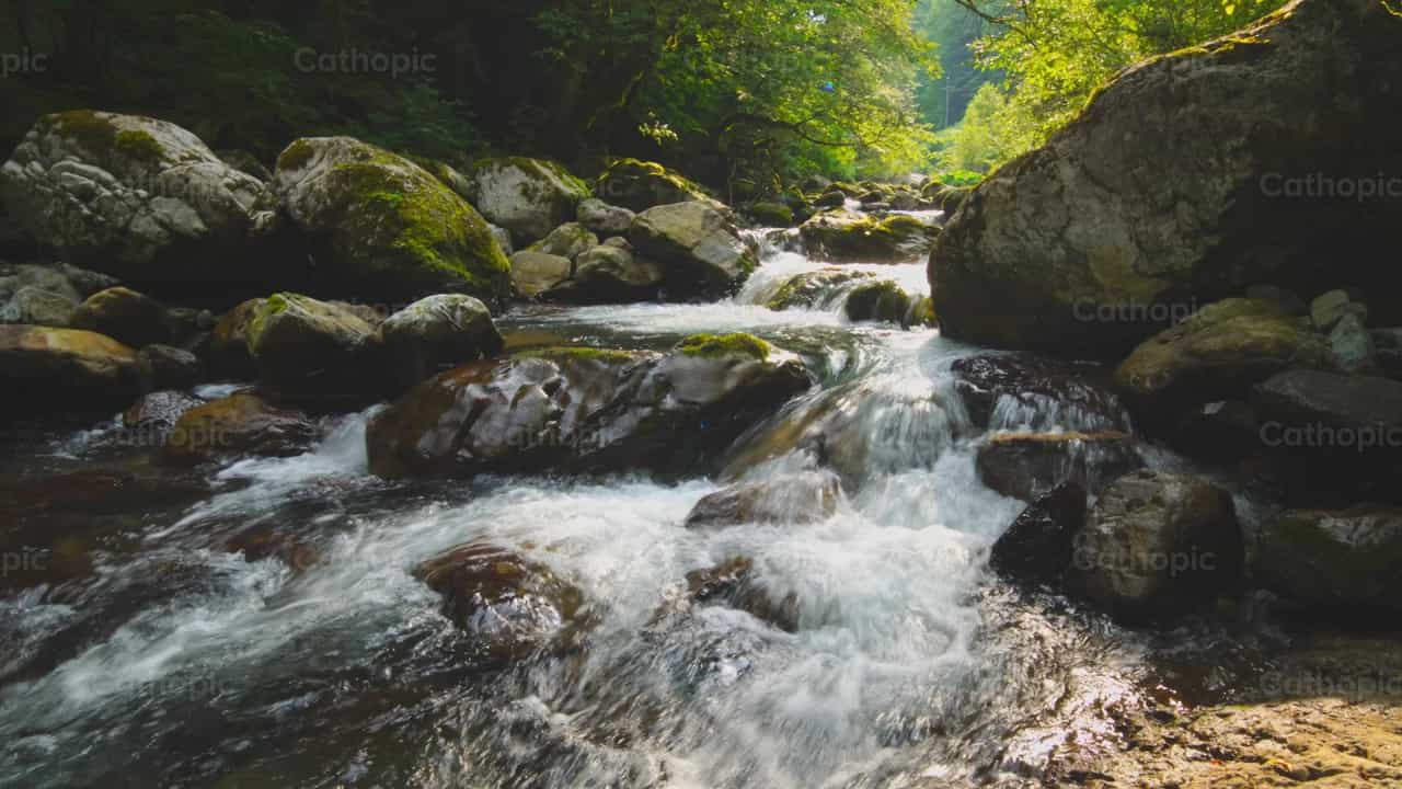Flowing Mountain Stream Over Rocks in Lush Green F - Catholic stock videos - Photo by Michelangelo Oprandi