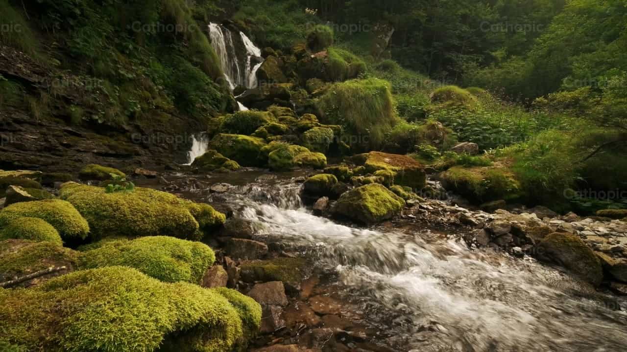风景如画的苔藓覆盖溪流与瀑布 - 天主教素材视频 - 摄影： Michelangelo Oprandi