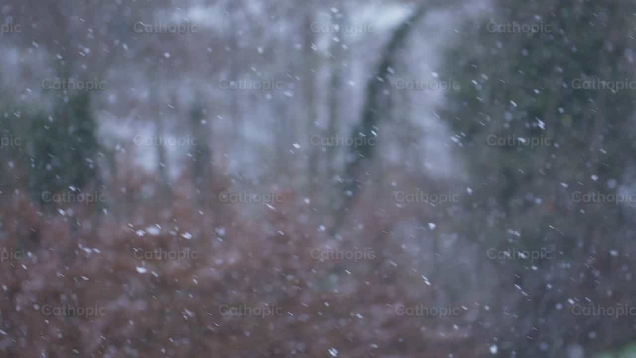 Winter snow falling - Catholic stock videos - Photo by Antonio Gravante