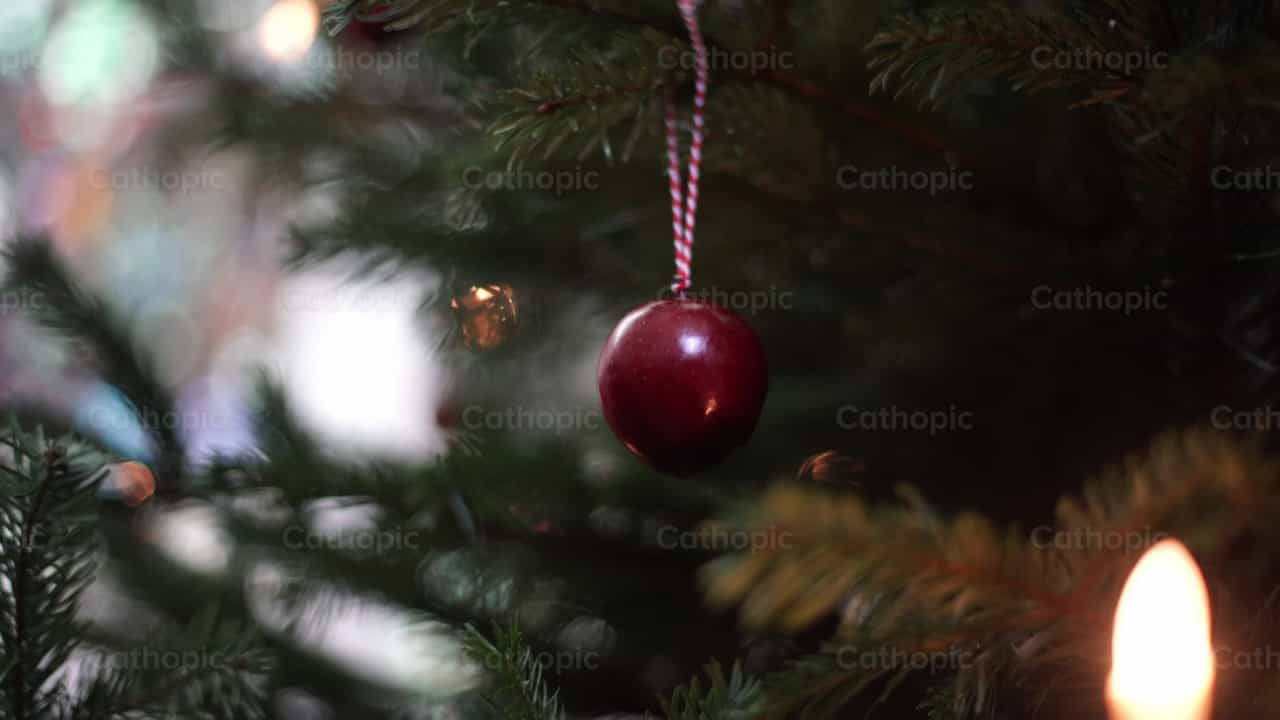 Árbol de Navidad - Banco de vídeos católicos - Fotografía por Lupe Belmonte