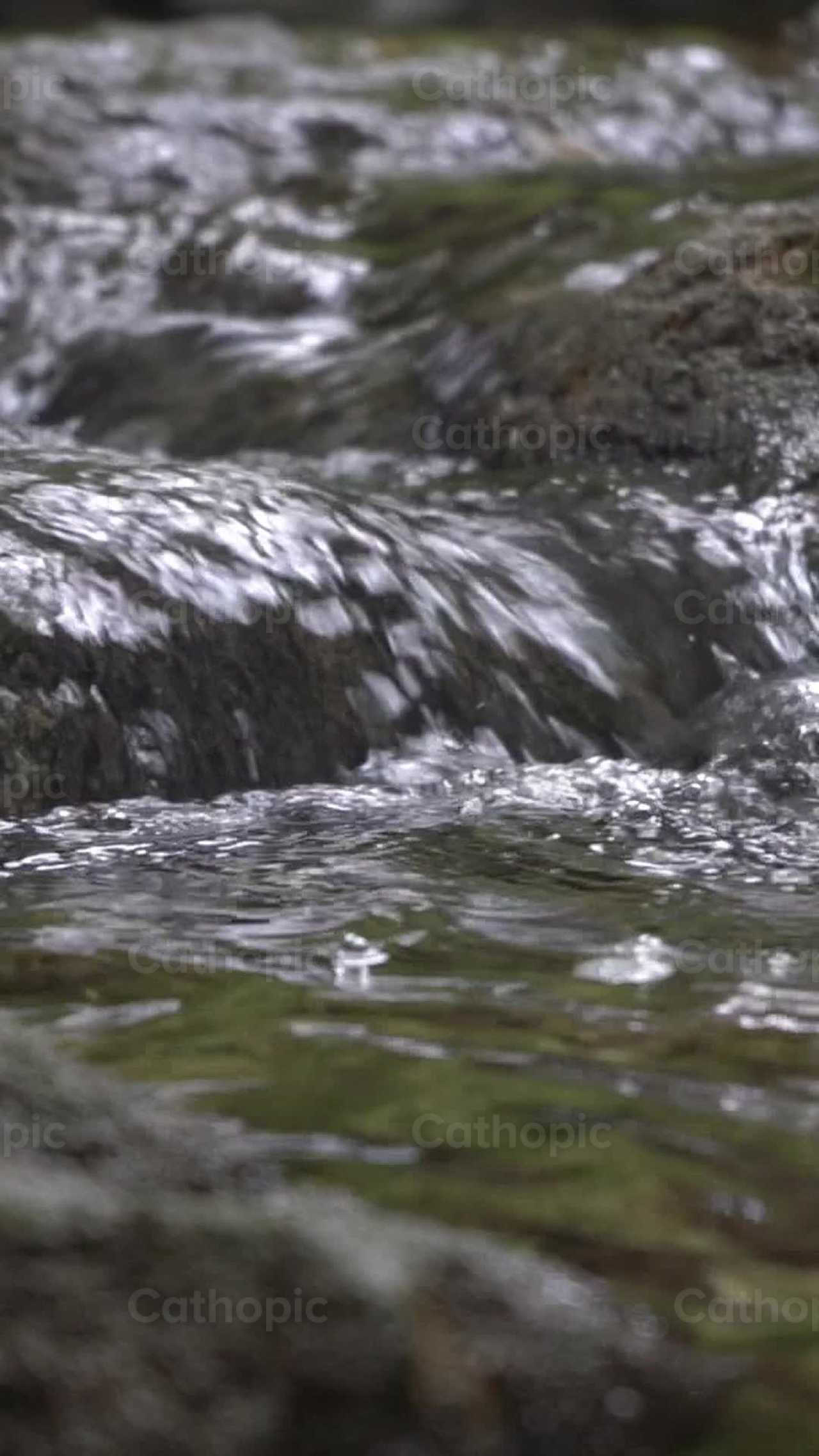Cascada de Agua - Banco de vídeos católicos