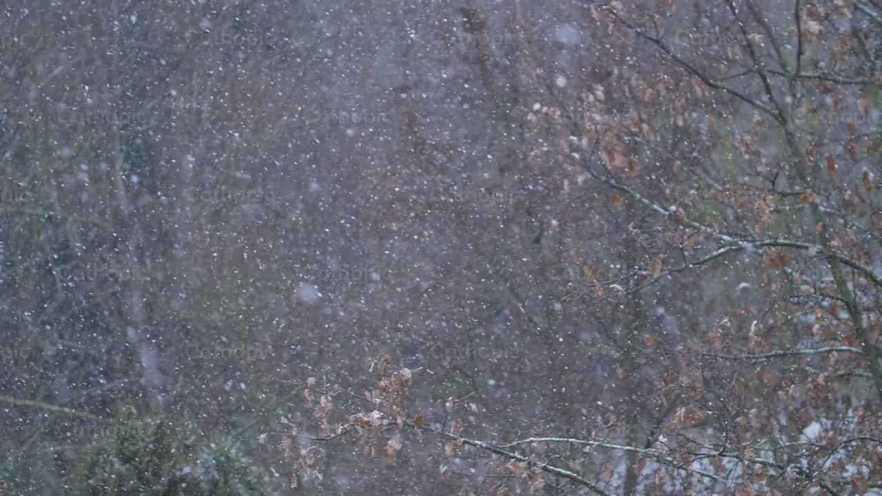Winter snow gently fall - Catholic stock videos - Photo by Antonio Gravante