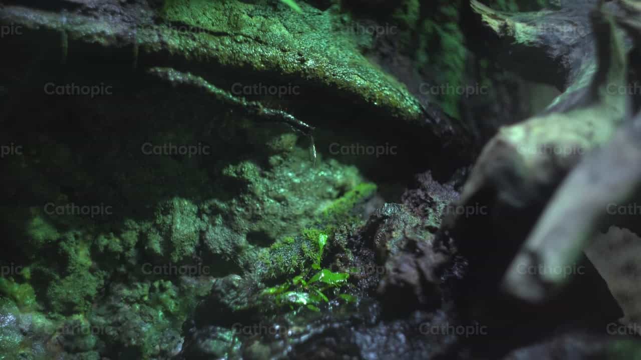 Agua - Banco de vídeos católicos - Fotografía por Lupe Belmonte
