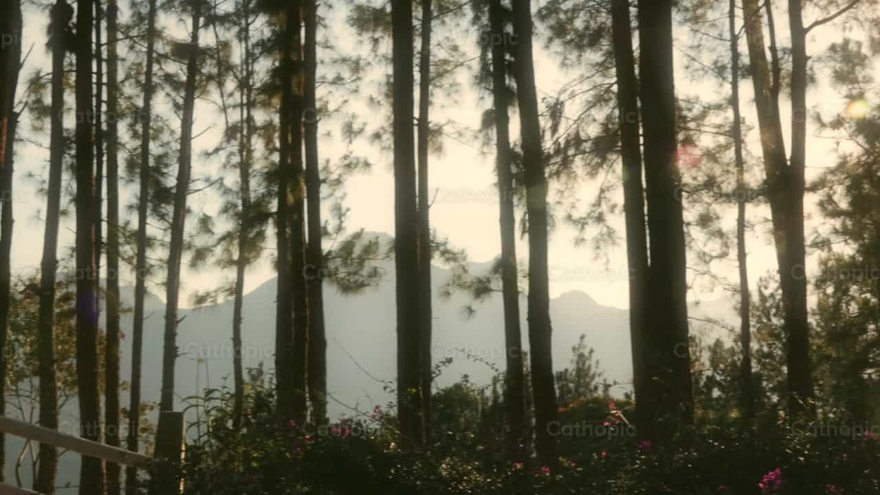 Paisaje de paz - Banco de vídeos católicos - Fotografía por Leider Mendoza