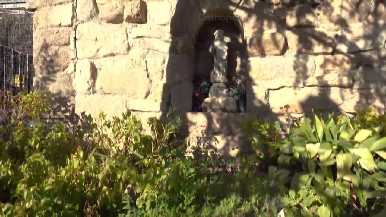 Divino Pastor - Banco de vídeos católicos