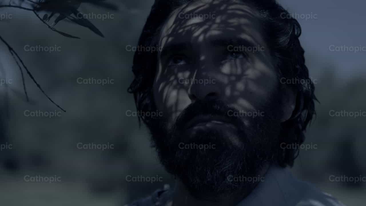 Jesús en el huerto de Getsemaní - Banco de vídeos católicos - Fotografía por Cathopic