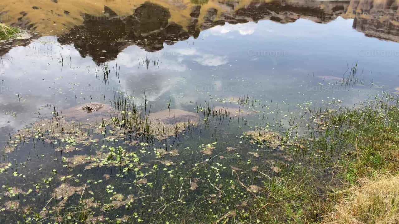 Peace in Nature - Catholic stock videos - Photo by Daniela Ag_S