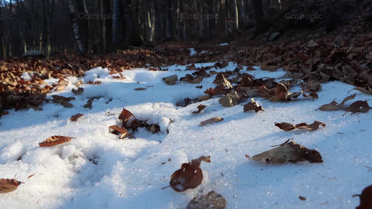 Nieve - Banco de vídeos católicos - Fotografía por Frames Cristianos