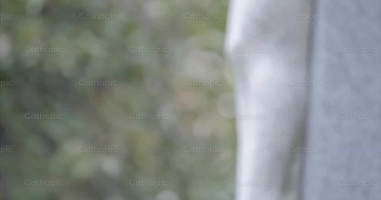 Crucifixo ao ar livre - Vídeos católicos de stock - Foto de Personally Catholic