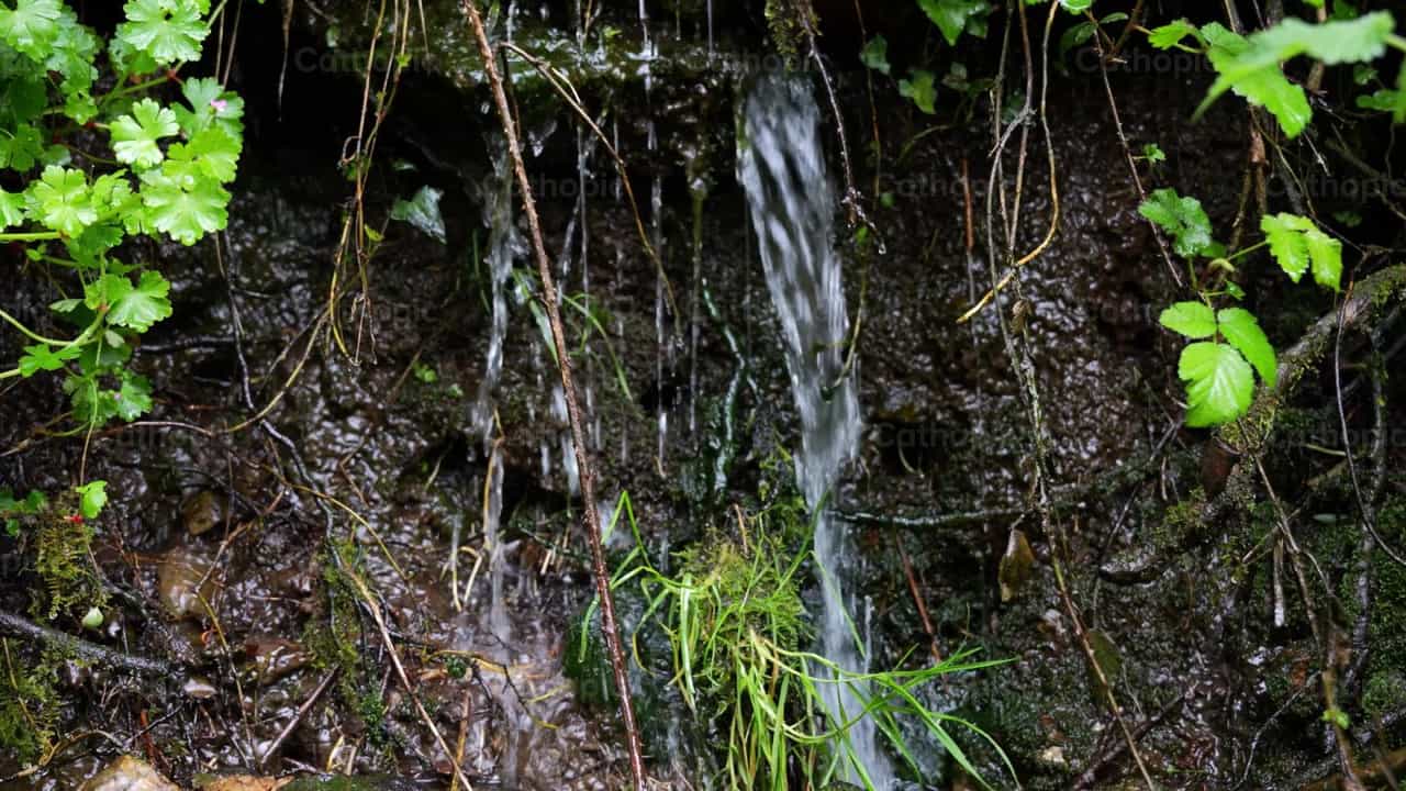 Cascada en el bosque - Banco de vídeos católicos - Fotografía por Santiago de la Hoz