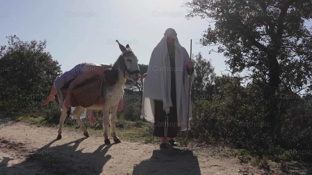 El buen samaritano lleva al herido - Banco de vídeos católicos - Fotografía por Santiago de la Hoz