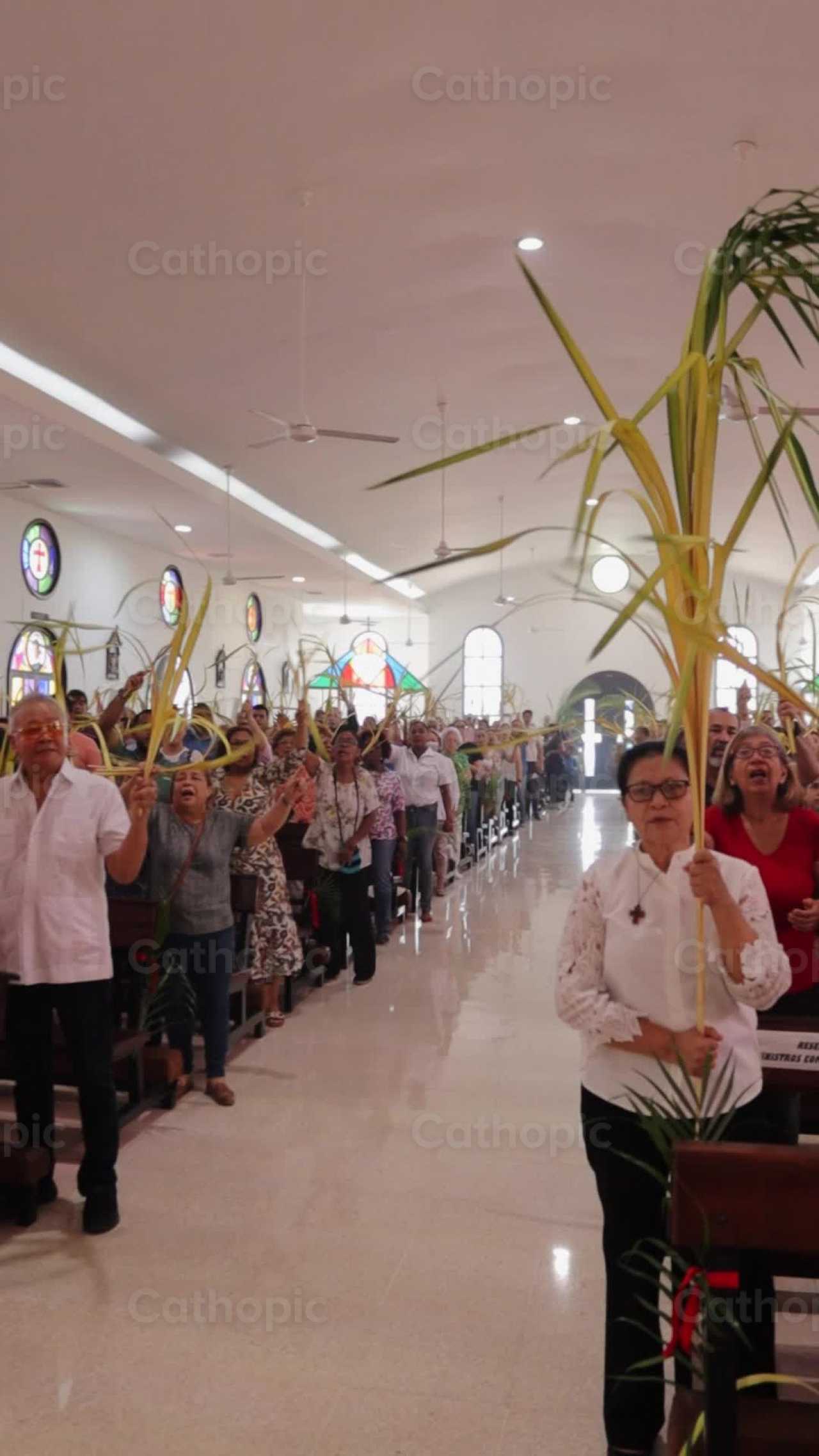 Domingo de Ramos - Banco de vídeos católicos - Fotografía por Leider Mendoza