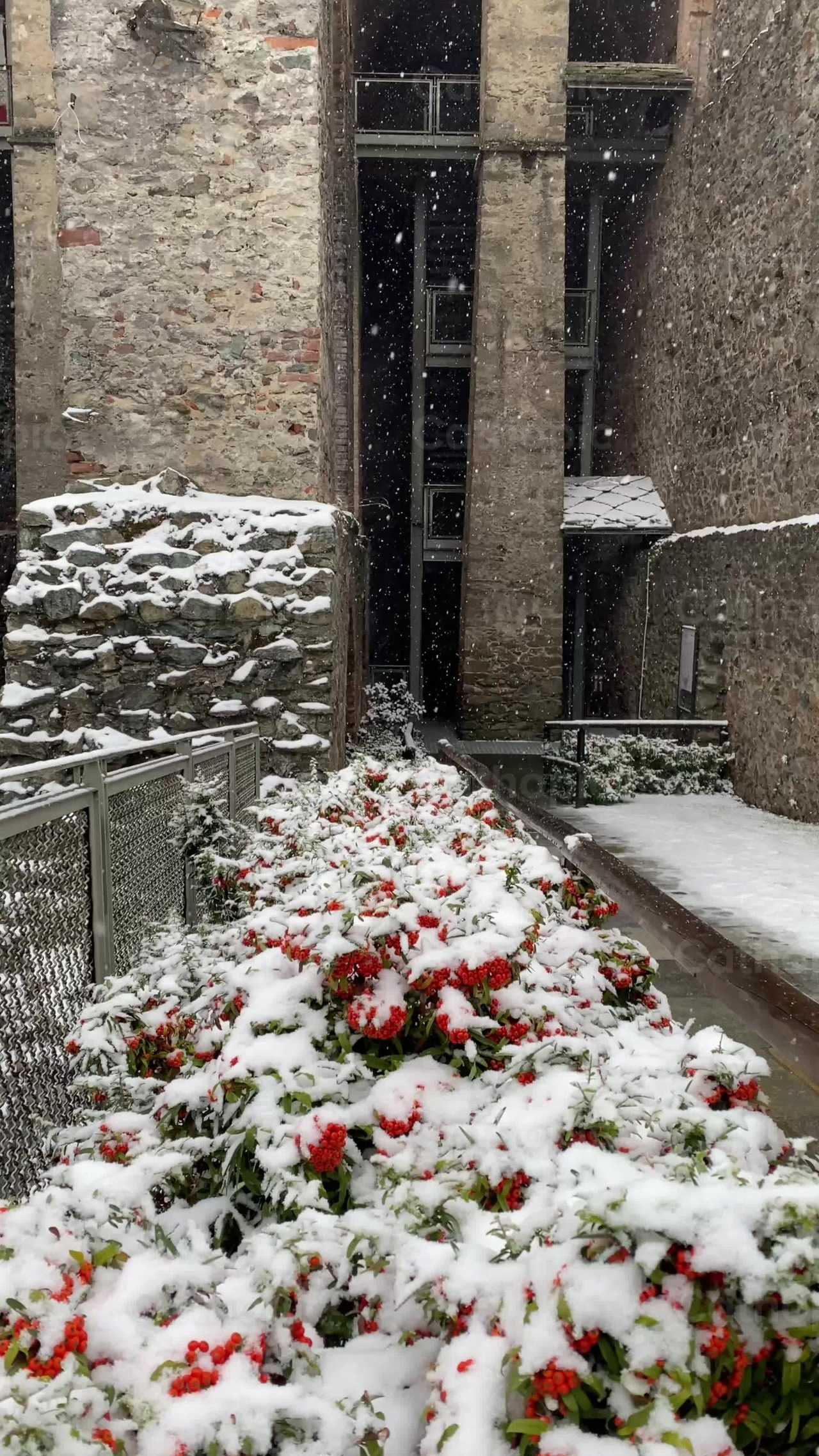 Nevicando - Video stock cattolici