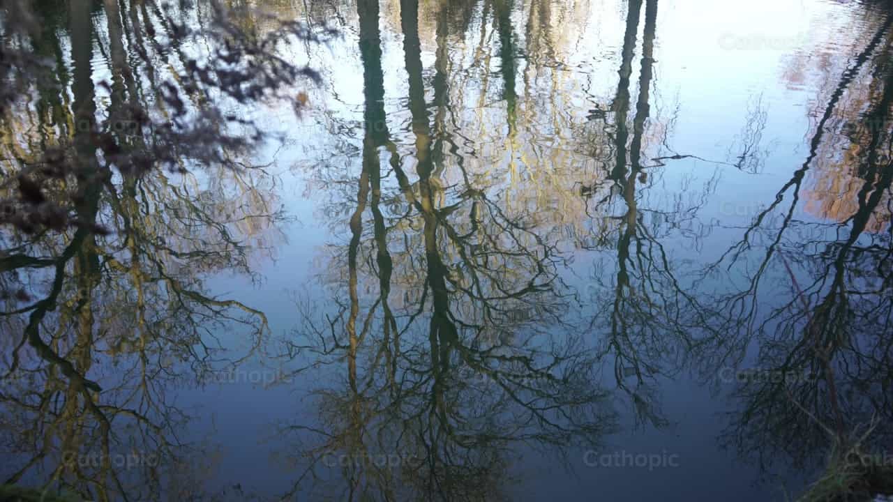 Reflejo del agua - Banco de vídeos católicos