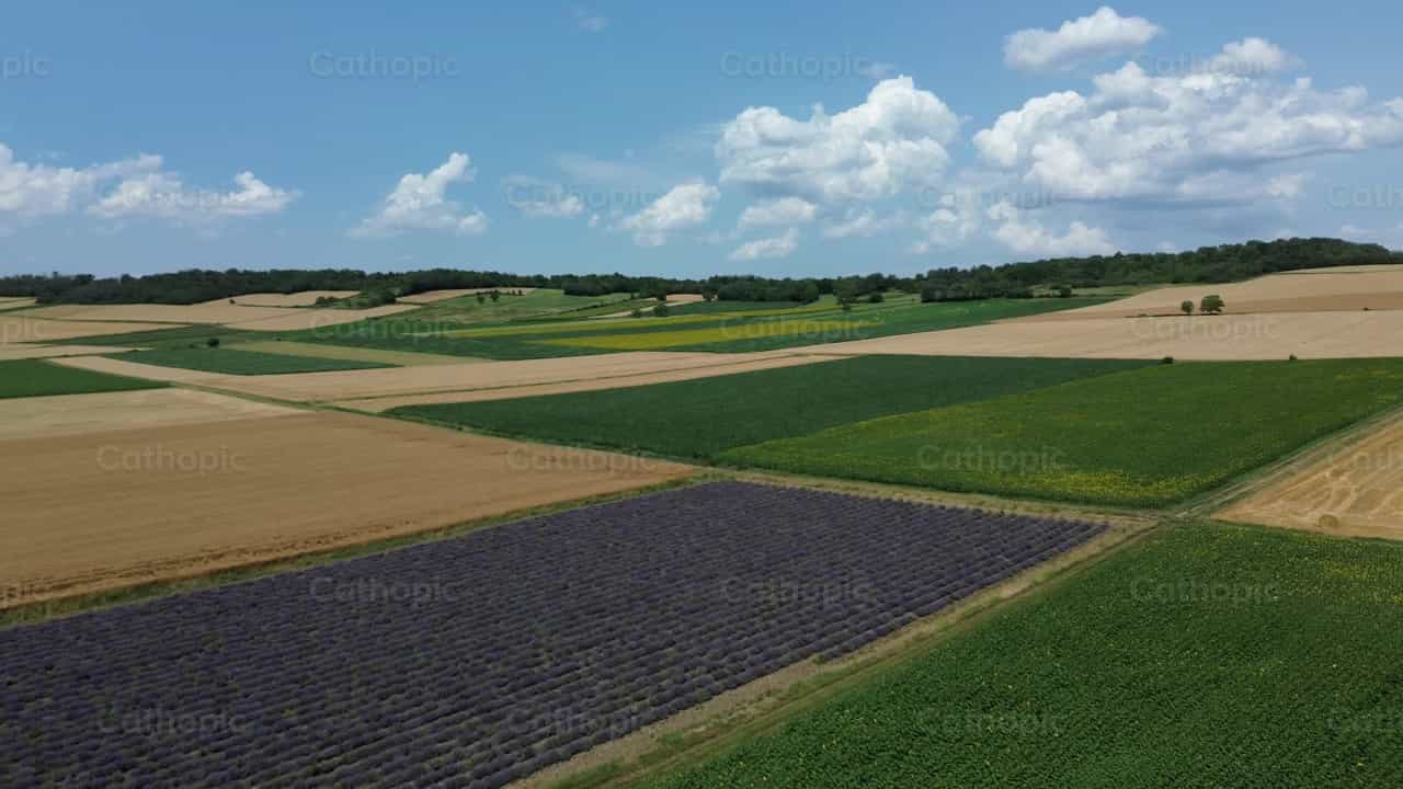 Campo - Banco de vídeos católicos - Fotografía por Saul Ibarra