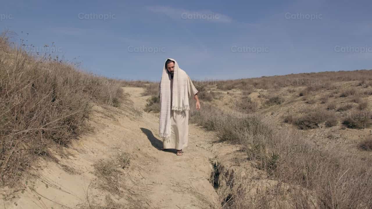 耶稣在旷野祈祷 - 天主教素材视频 - 摄影： Cathopic