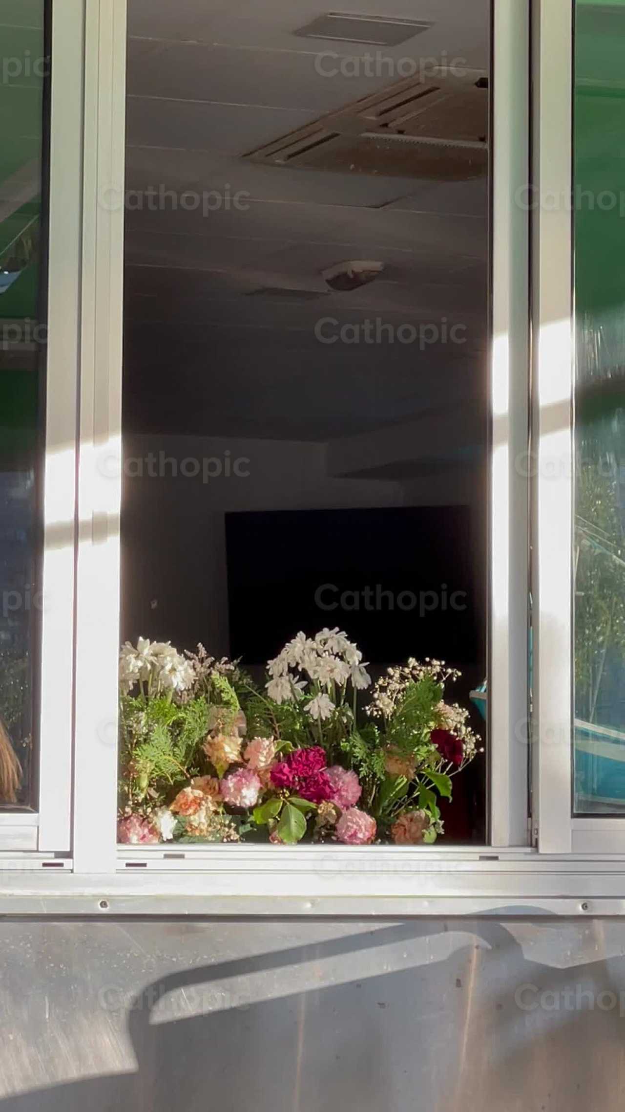 Bloemen op het raam - Katholieke stockvideo's - Foto door Lupe Belmonte