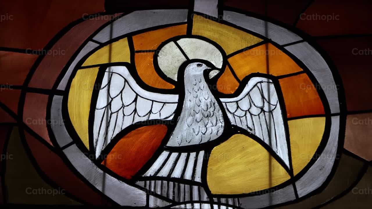 Espiritu Santo - Banco de vídeos católicos - Fotografía por Saul Ibarra