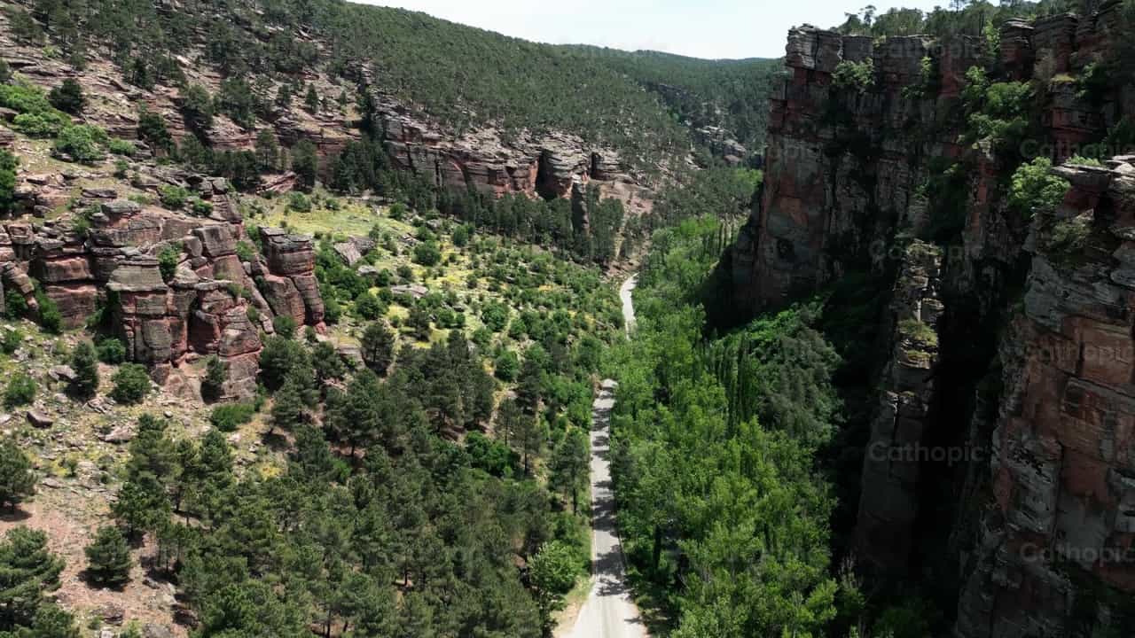 Road between trees and mountains - Catholic stock videos