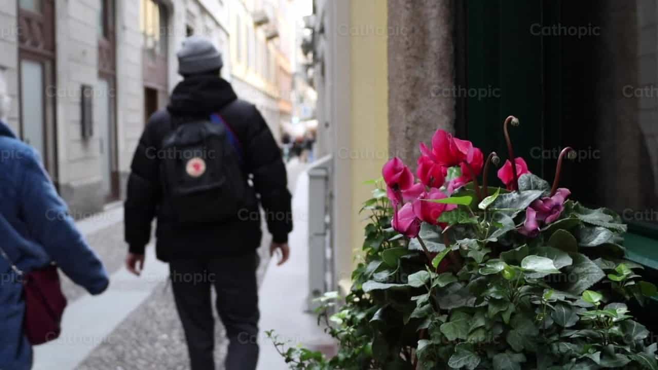 Flores - Banco de vídeos católicos - Fotografía por Saul Ibarra