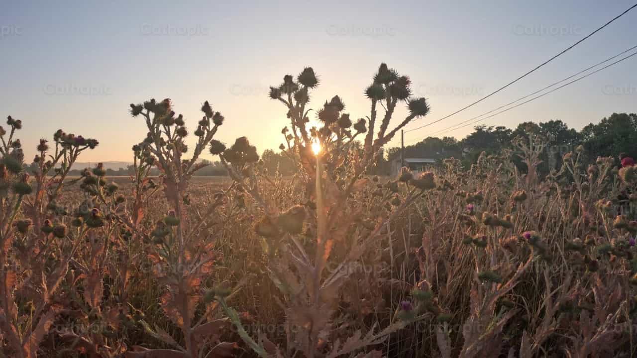 Raios de Sol - Vídeos católicos de stock