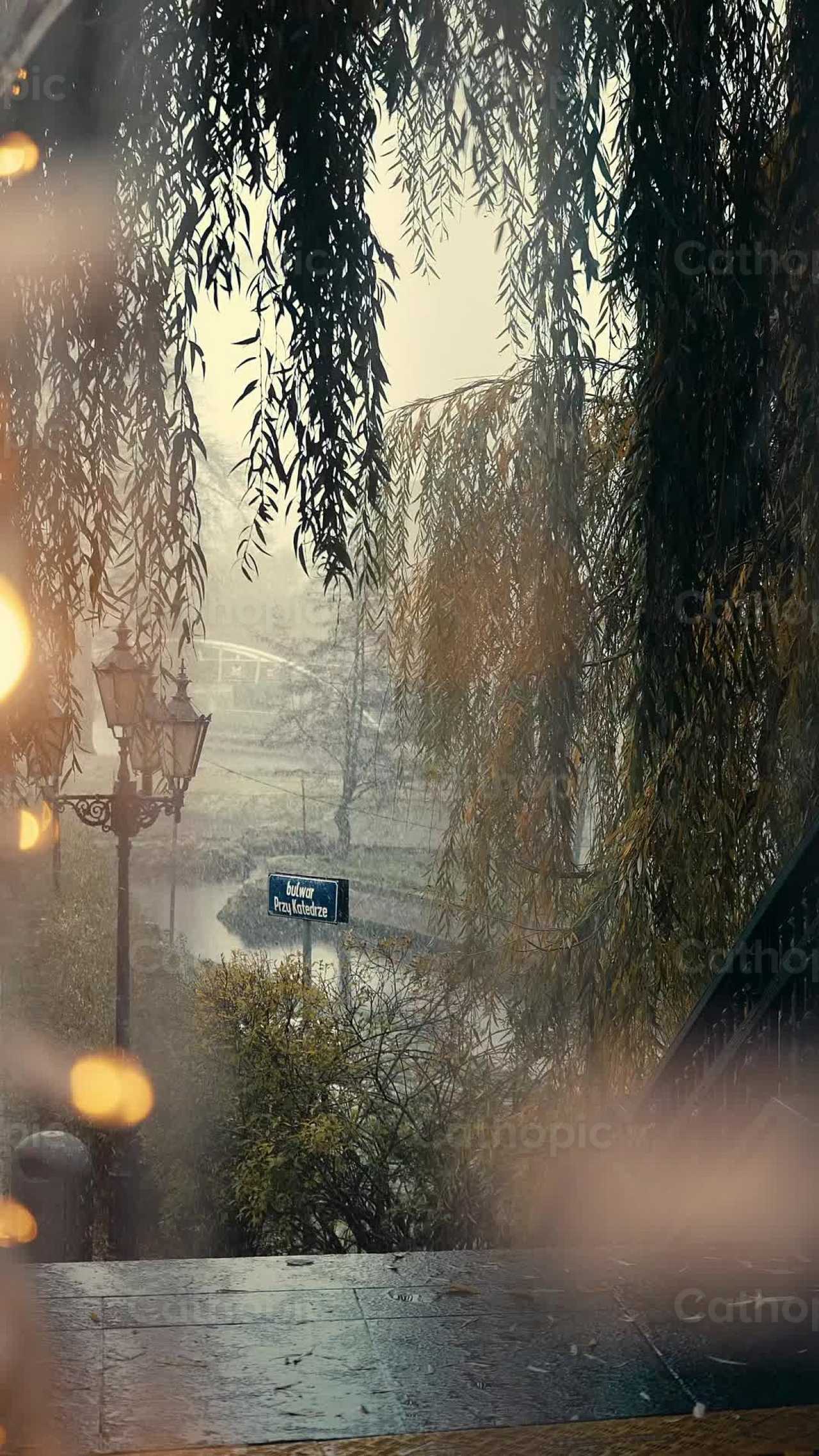 Snowing - Catholic stock videos - Photo by Lupe Belmonte