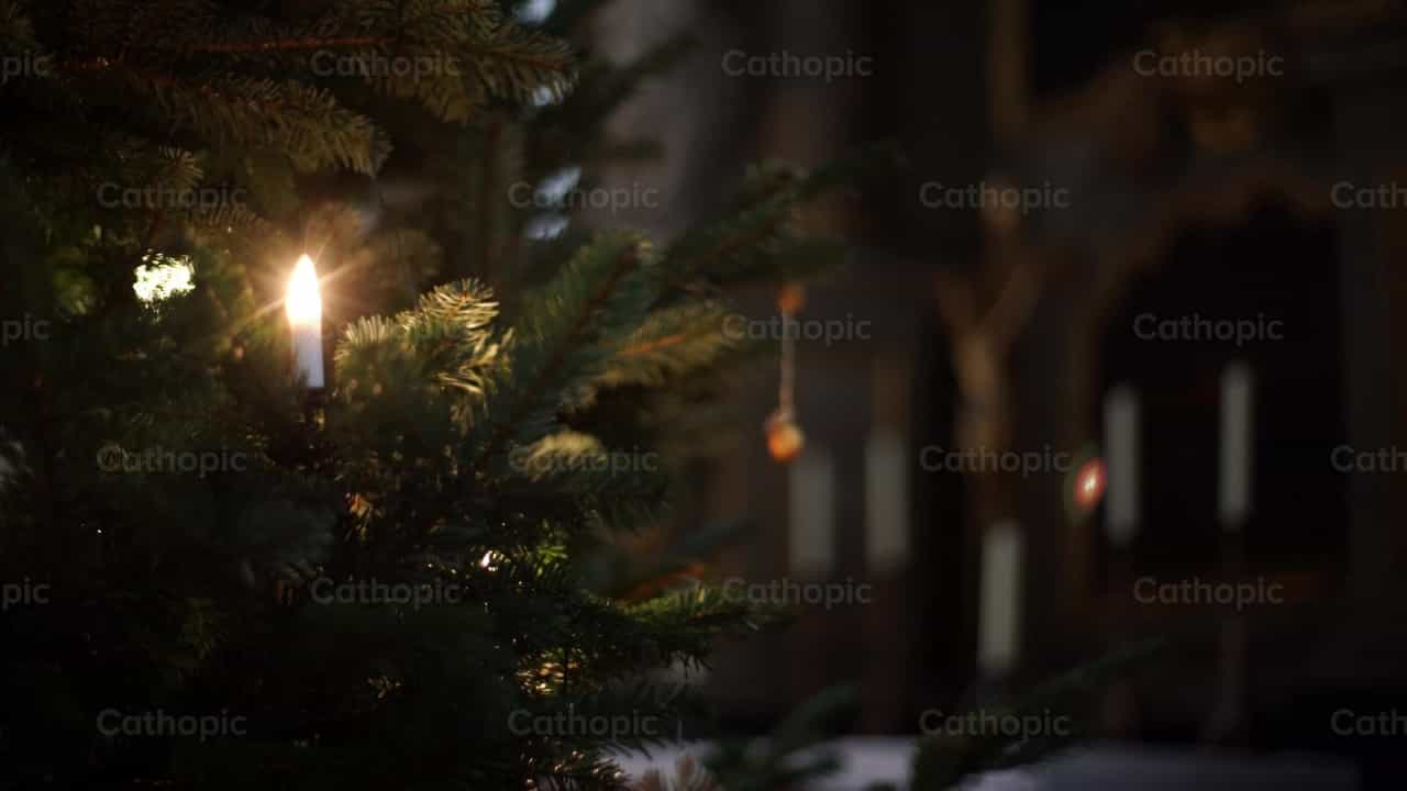 Árbol de Navidad - Banco de vídeos católicos - Fotografía por Lupe Belmonte