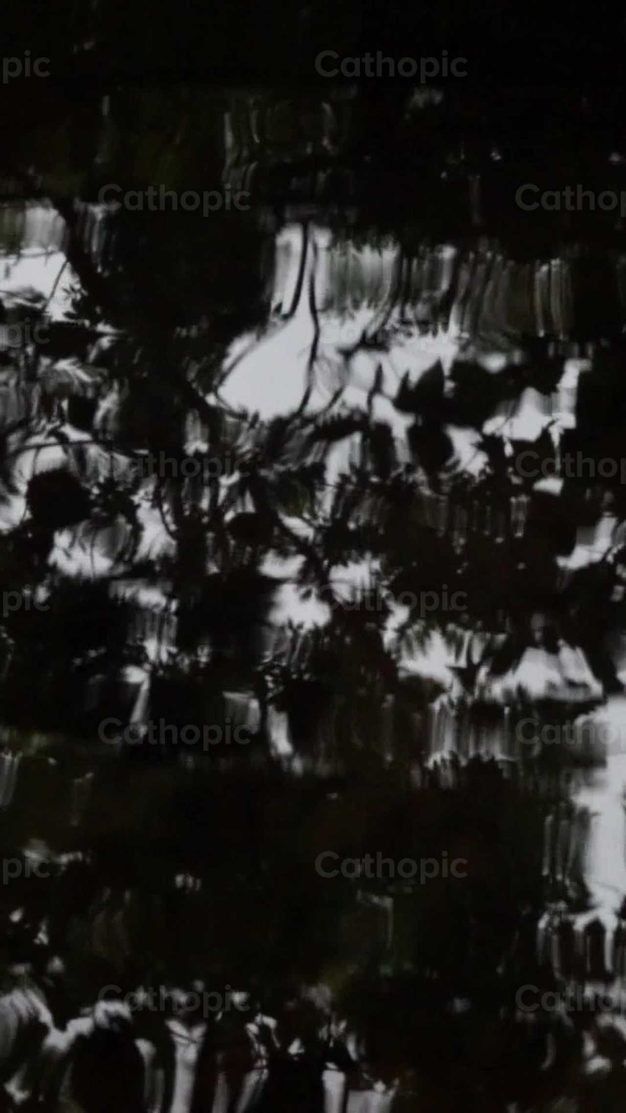 Eau - Vidéos catholiques de stock - Photo de Lupe Belmonte