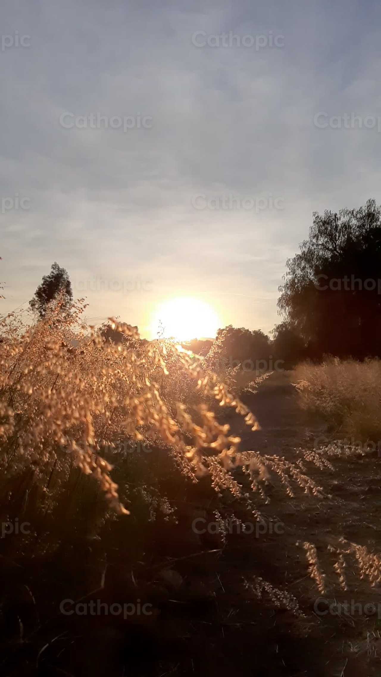 Atardecer en JM - Banco de vídeos católicos - Fotografía por Saul Ibarra