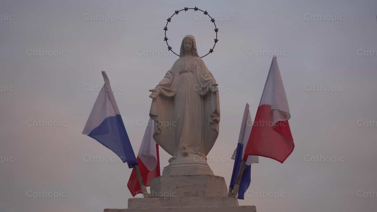 Polonia Inmaculada - Banco de vídeos católicos