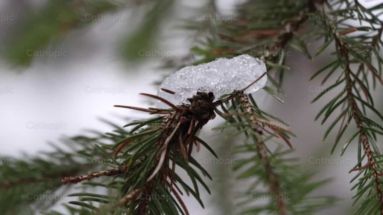 Drops of water - Catholic stock videos - Photo by Saul Ibarra