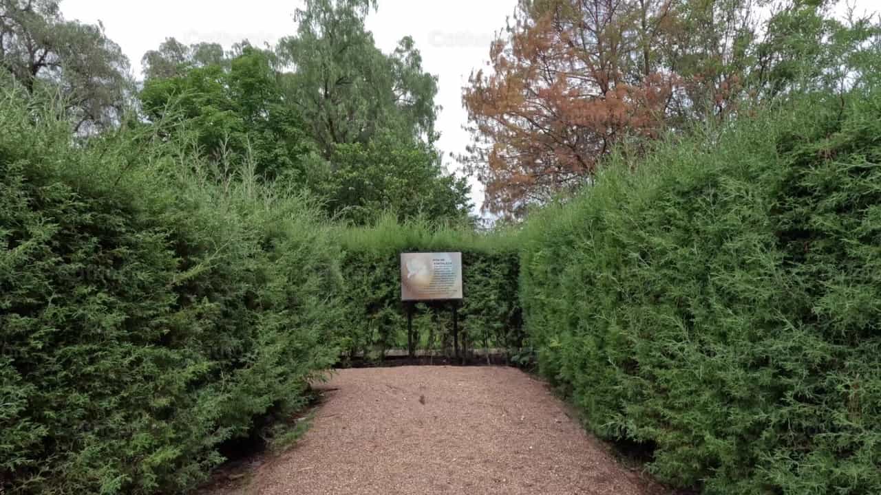 Labyrinth of the Holy Spirit - Catholic stock videos - Photo by Frames Cristianos