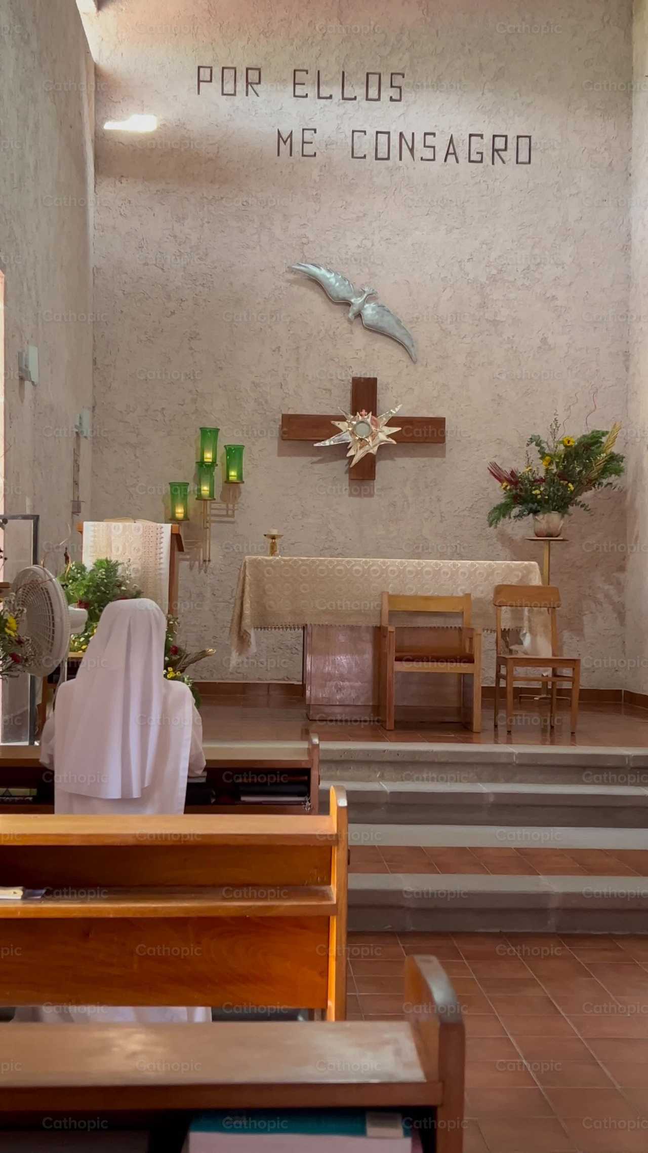 Eucharist - Catholic stock videos - Photo by Frames Cristianos