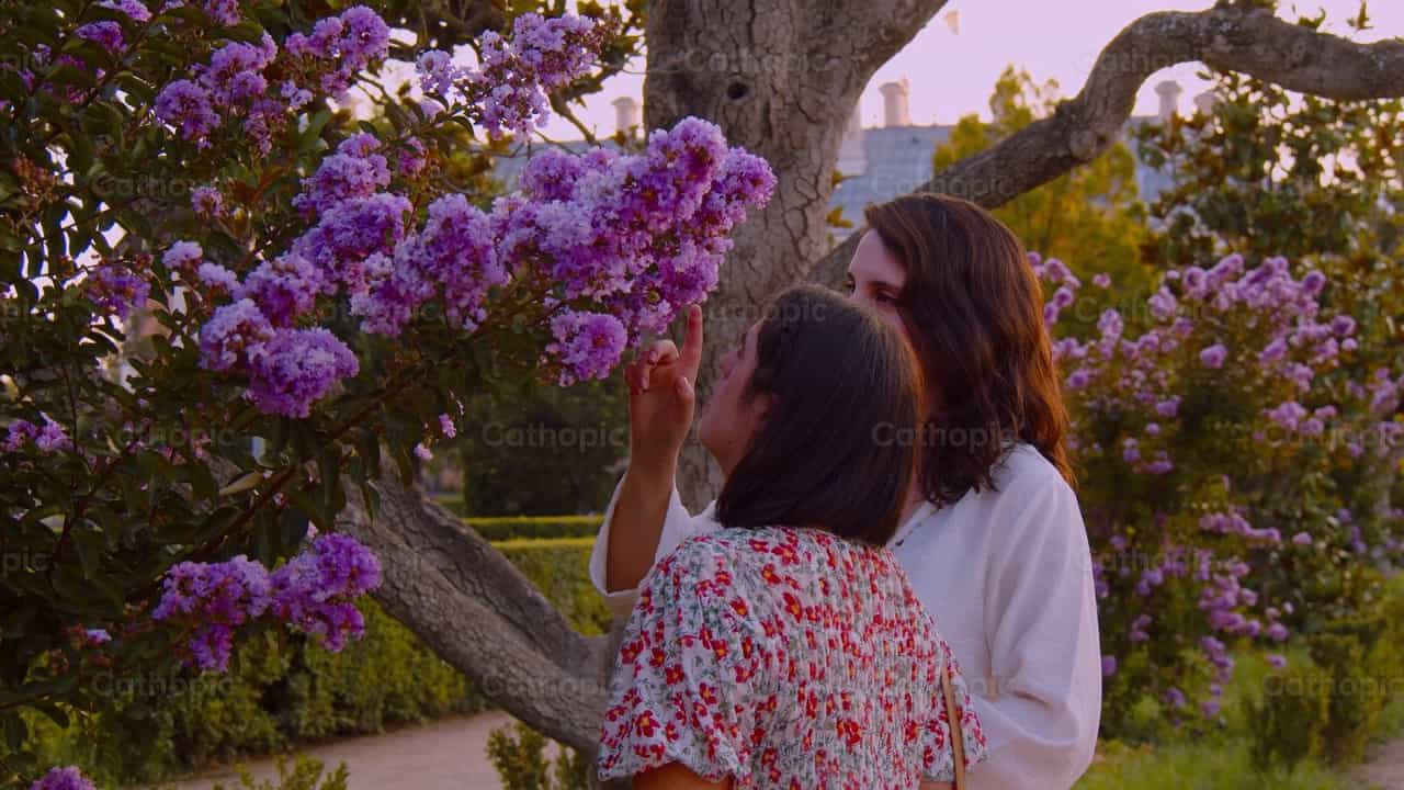Ammirare la natura - Video stock cattolici - Foto di Almures Studio