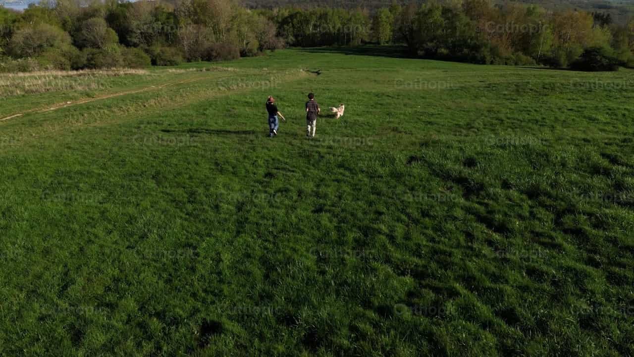 Niños jugando con su mascota en el bosque - Banco de vídeos católicos