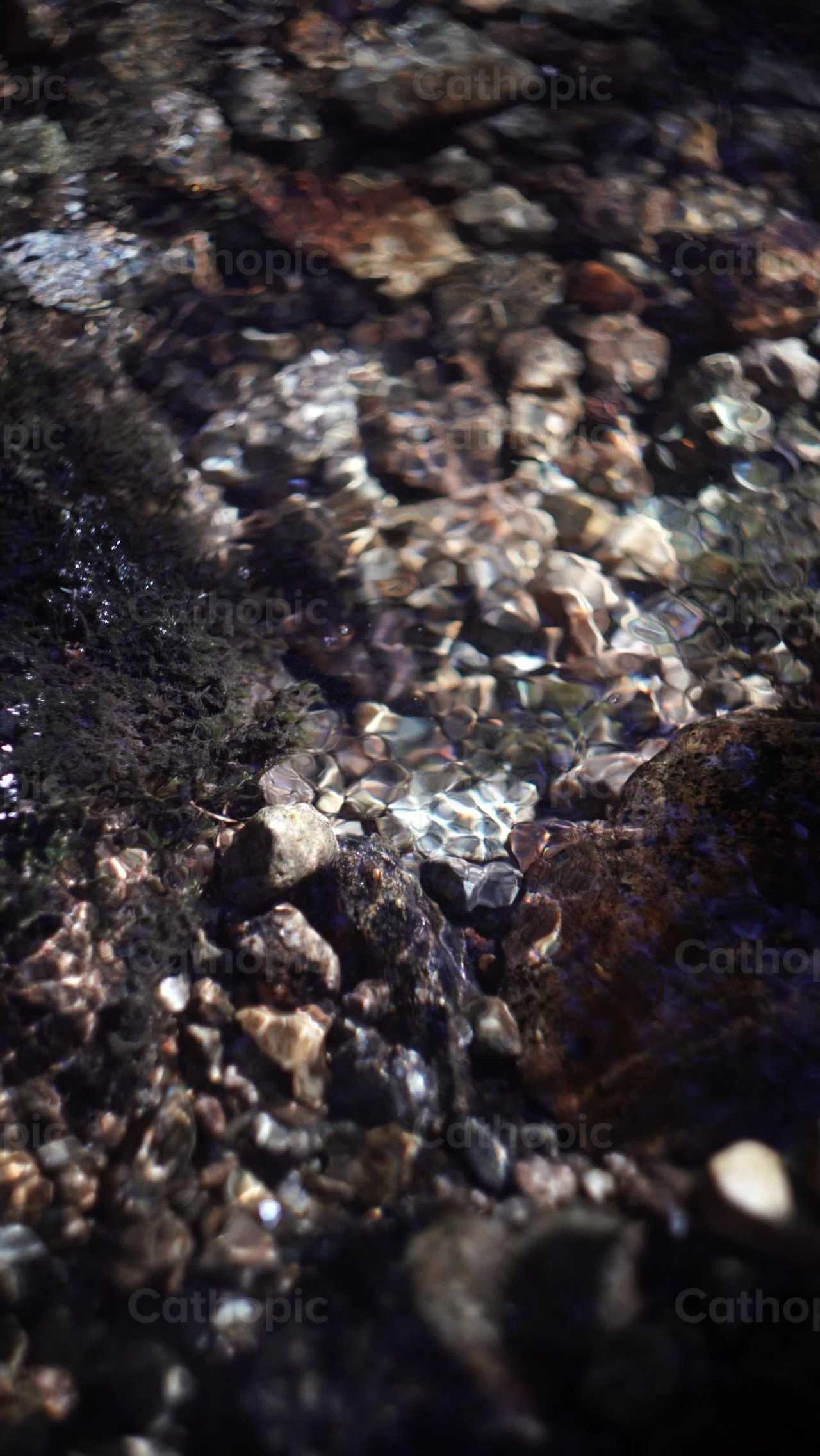 Rio y rocas - Banco de vídeos católicos - Fotografía por Lupe Belmonte